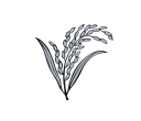 Election symbol: Sheaf of Paddy